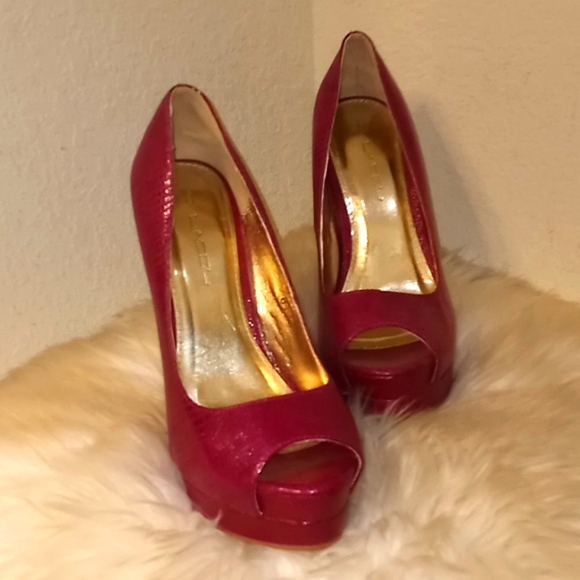 C Label Raspberry Snakeskin Stiletto Platform π - Picture 2 of 15